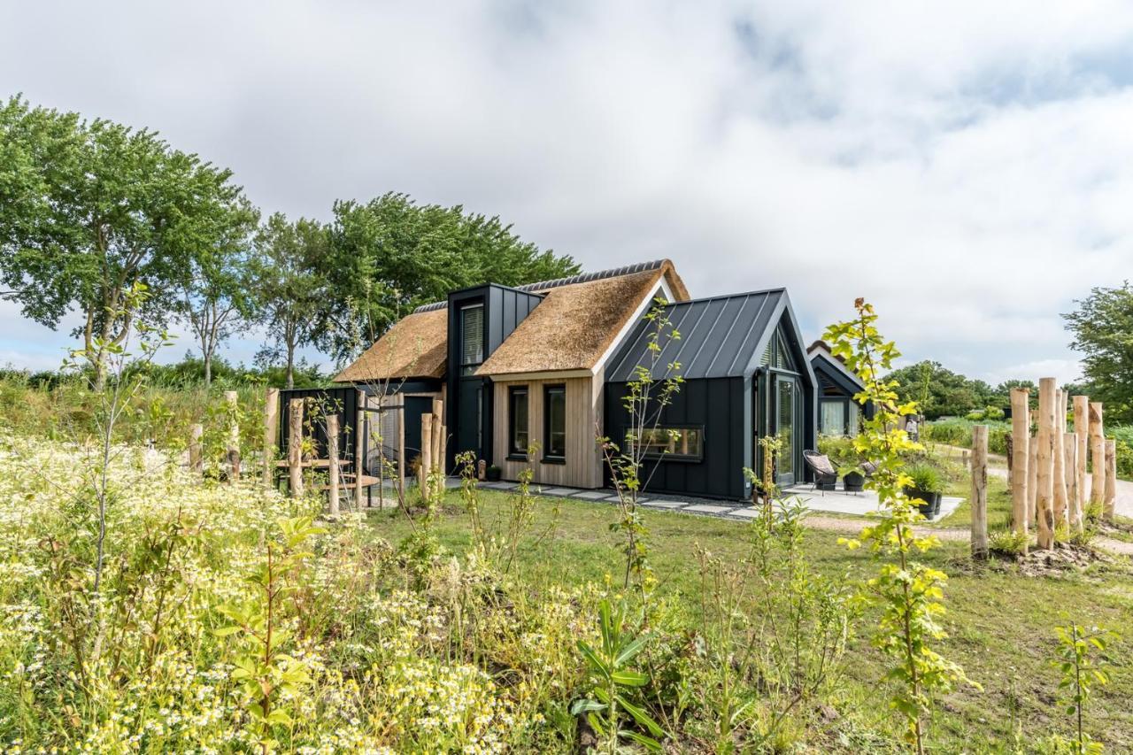Riethoek Westerschouwen Burgh-Haamstede Εξωτερικό φωτογραφία
